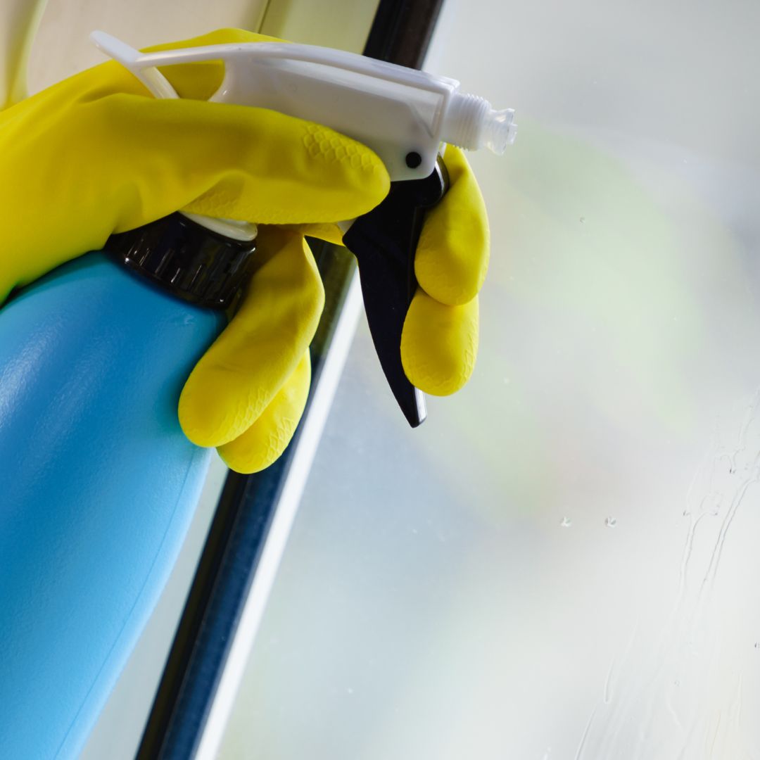 spray bottle near window