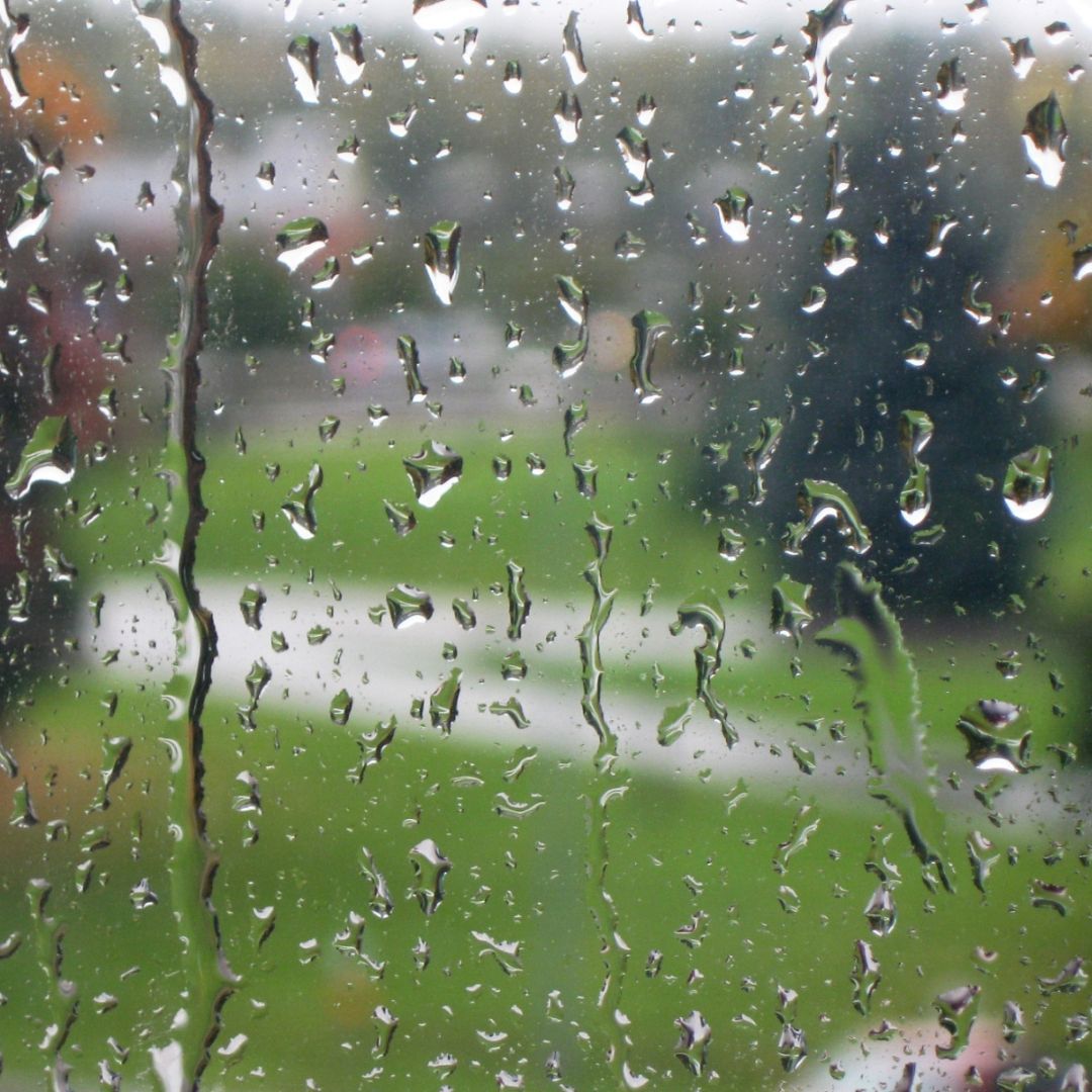 looking out a rainy window